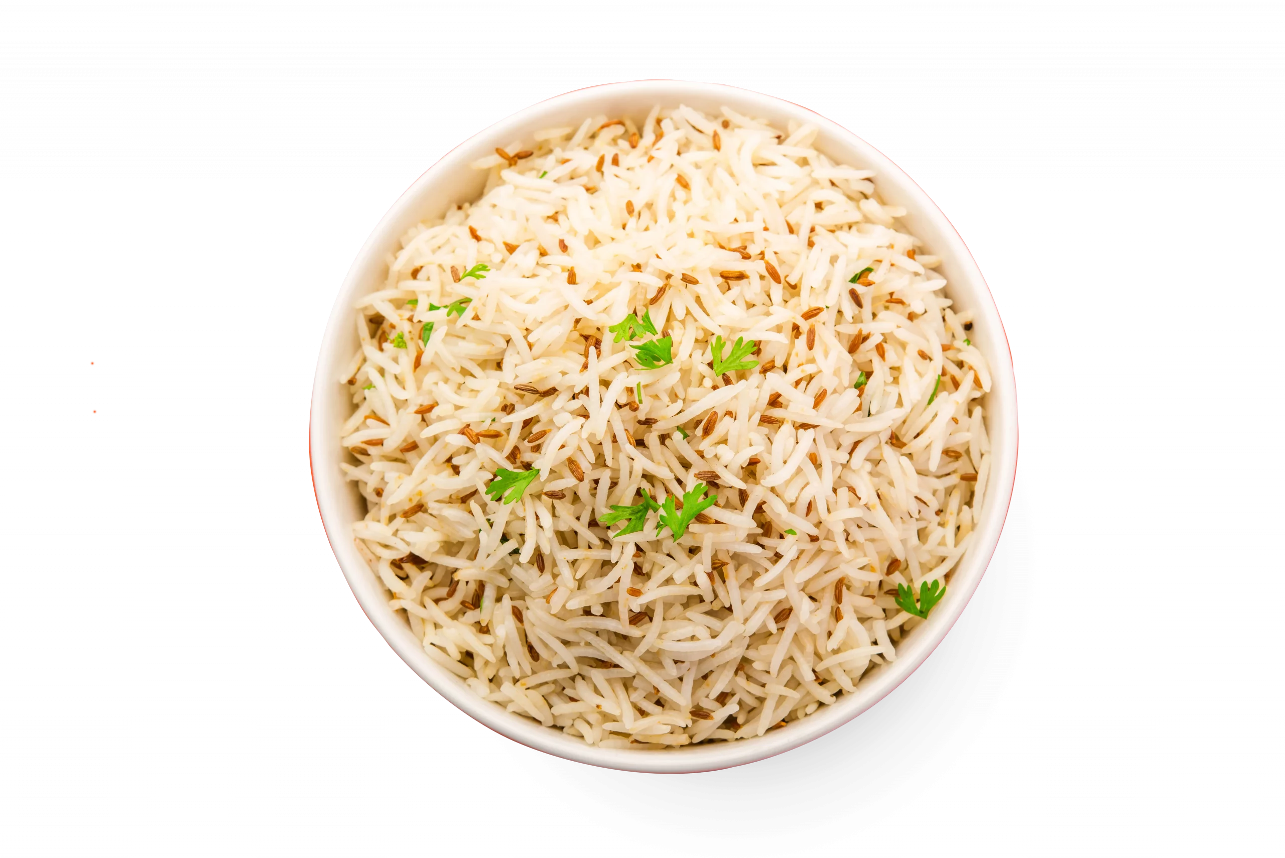 fried rice rotation webp